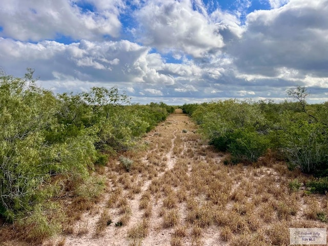705ACRE Fm 2687, Zapata, TX 78360