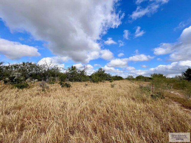 705ACRE Fm 2687, Zapata, TX 78360