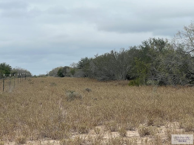 705ACRE Fm 2687, Zapata, TX 78360