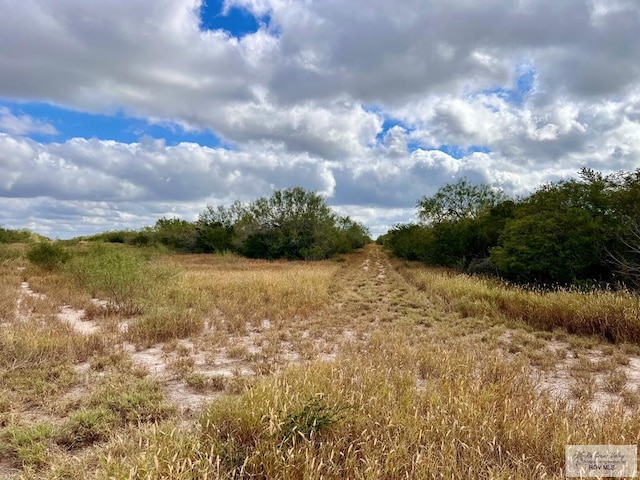 705ACRE Fm 2687, Zapata, TX 78360