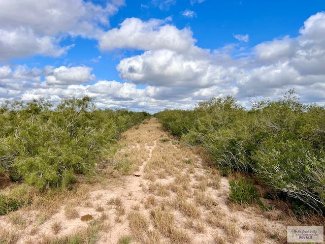 705ACRE Fm 2687, Zapata, TX 78360 - photo 43