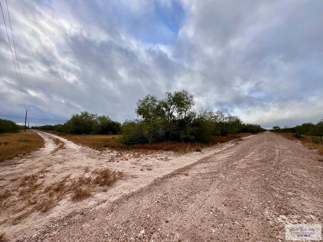 705ACRE Fm 2687, Zapata, TX 78360