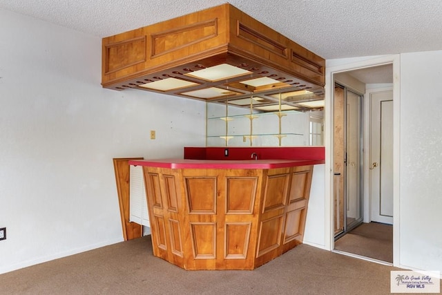 bar with carpet flooring and a textured ceiling