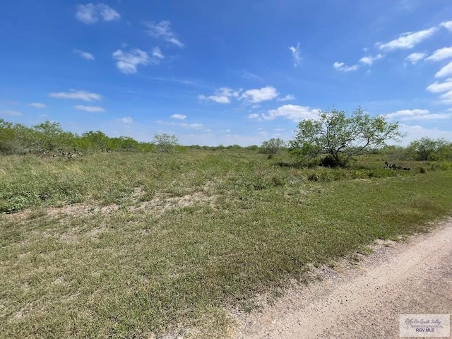 50.455ACS Tract 43rd Rd, Los Fresnos, TX 78566 - photo 2
