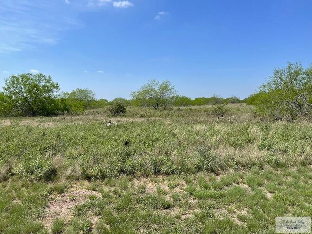50.455ACS Tract 43rd Rd, Los Fresnos, TX 78566 - photo 6