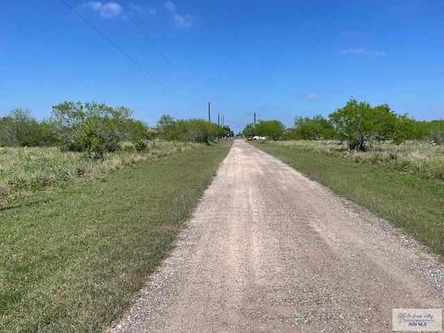 50.455ACS Tract 43rd Rd, Los Fresnos, TX 78566 - photo 4