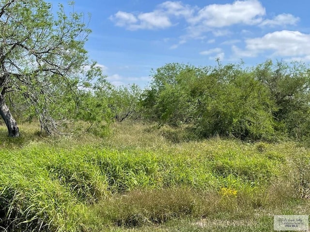50.455ACS Tract 43rd Rd, Los Fresnos, TX 78566 - photo 5