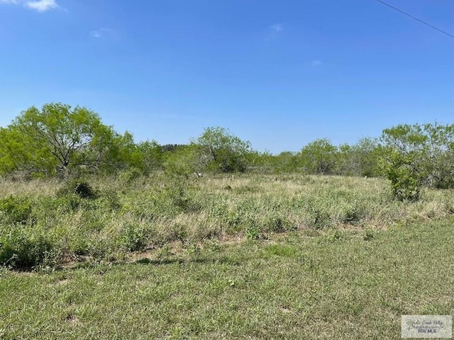 50.455ACS Tract 43rd Rd, Los Fresnos, TX 78566 - photo 3