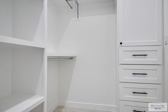 walk in closet featuring light wood finished floors