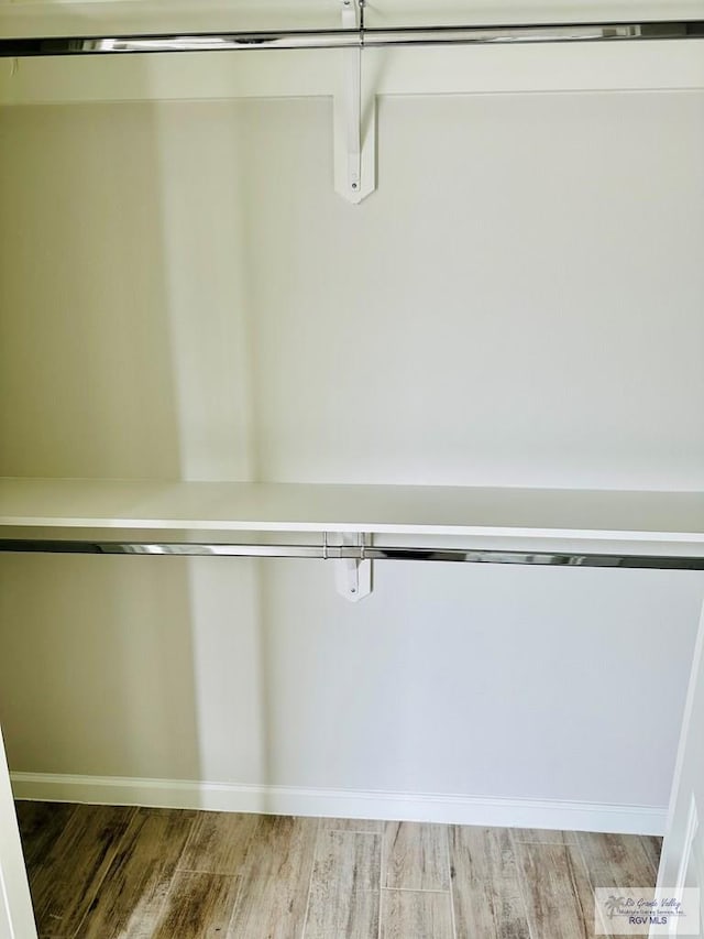 spacious closet featuring wood-type flooring