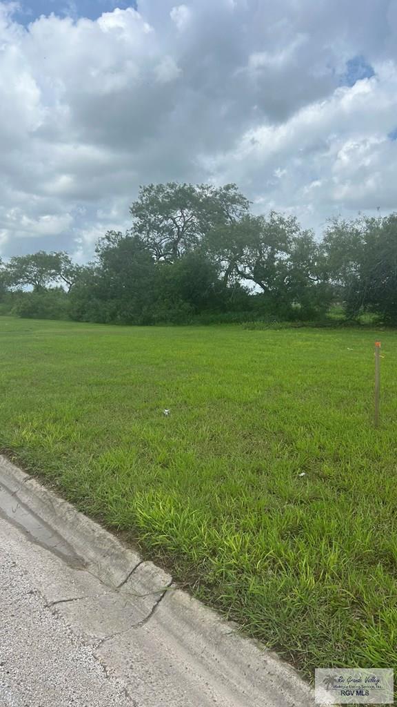 00 W Canal St, Los Fresnos, TX 78566