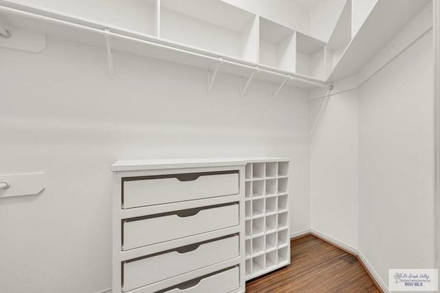 walk in closet featuring wood finished floors