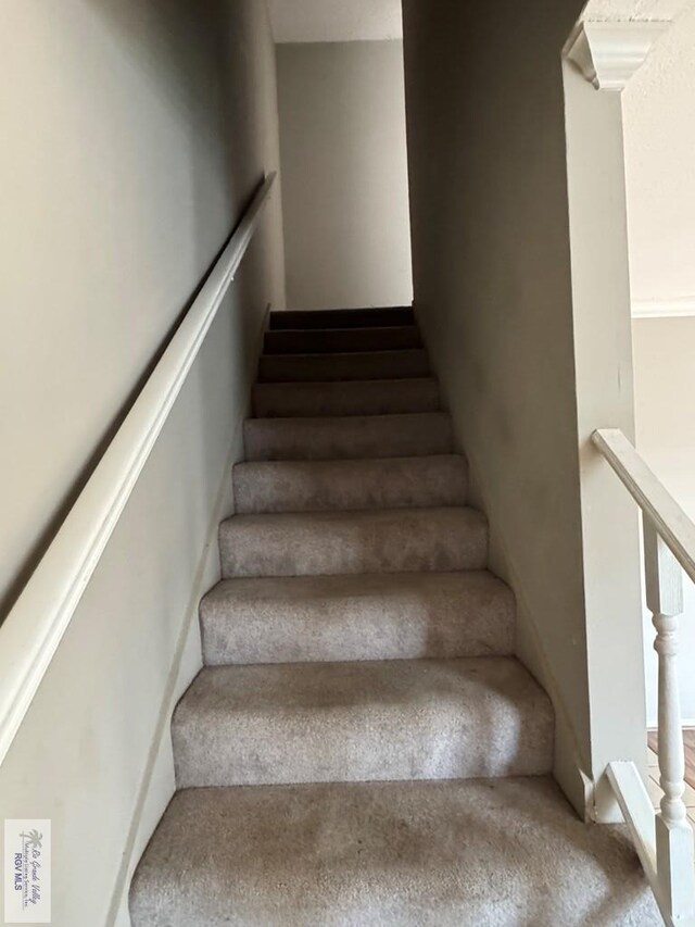 stairs with carpet floors