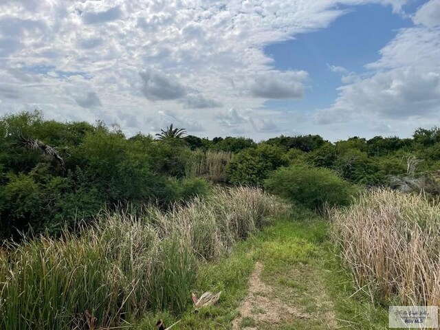 Listing photo 3 for 18.70ACRES S Fm 3069, Los Fresnos TX 78566