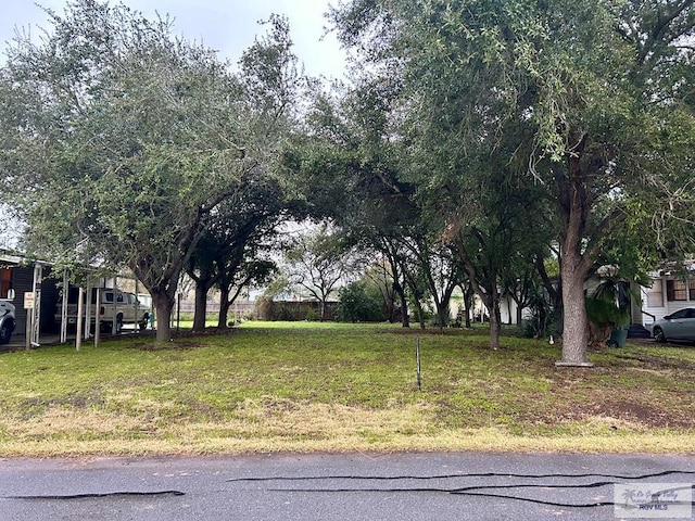 0 Palm Vista Dr Unit 59, Harlingen TX, 78552 land for sale