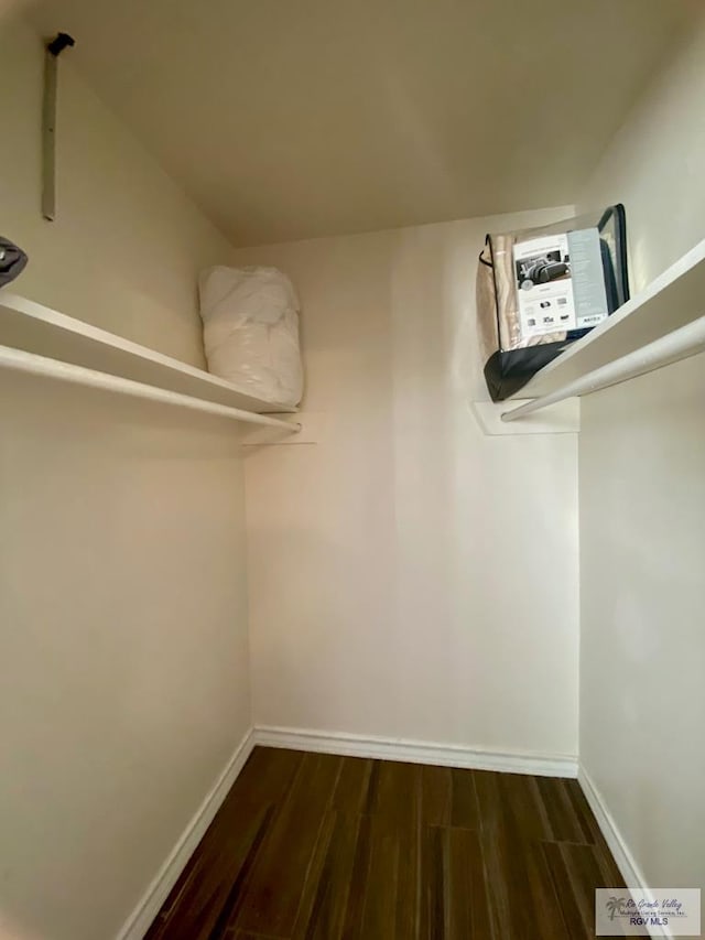 walk in closet with dark wood-type flooring