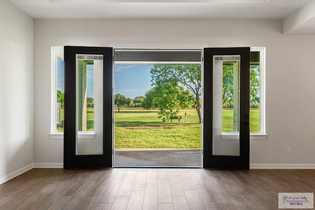 entryway featuring a wealth of natural light and dark hardwood / wood-style floors