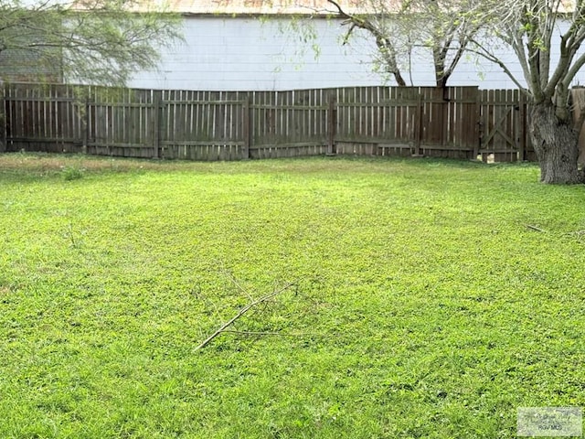 view of yard featuring a fenced backyard