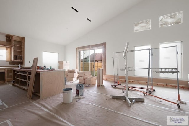 interior space featuring high vaulted ceiling