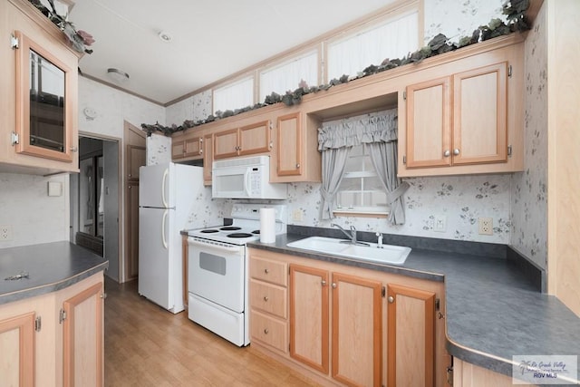 kitchen with light brown cabinets, white appliances, sink, light wood-type flooring, and ornamental molding