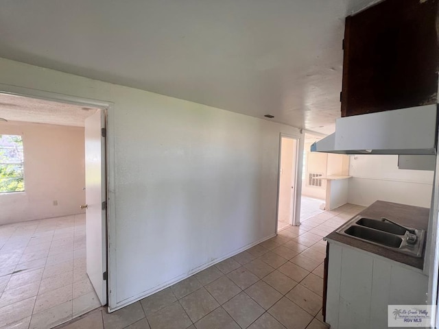 kitchen featuring sink and ventilation hood