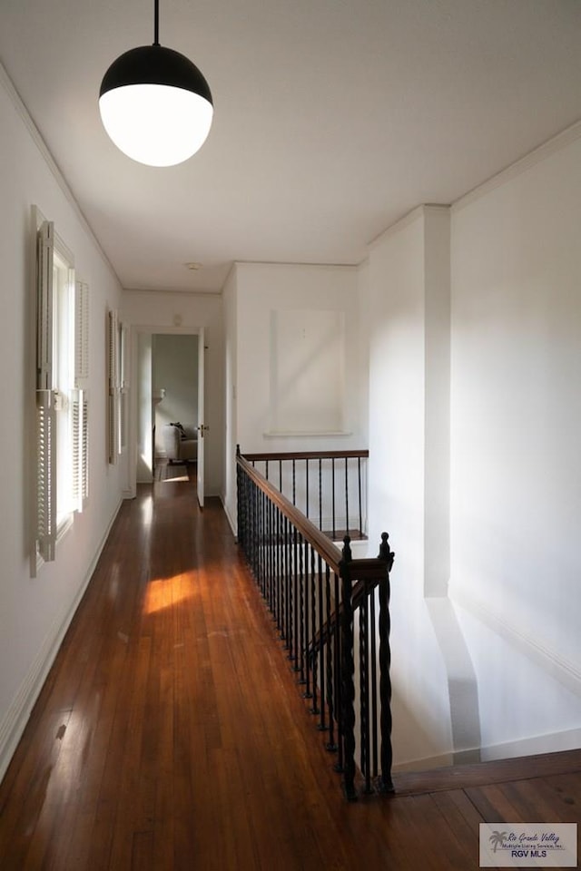 corridor with dark hardwood / wood-style floors and ornamental molding