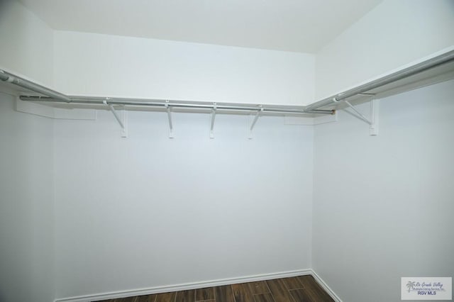 spacious closet featuring dark hardwood / wood-style flooring