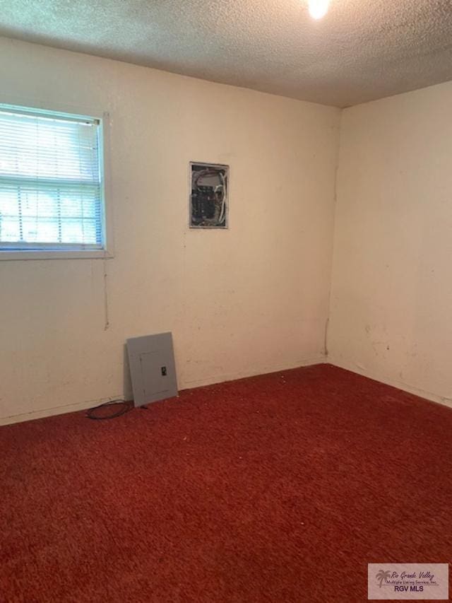 empty room with carpet flooring and a textured ceiling