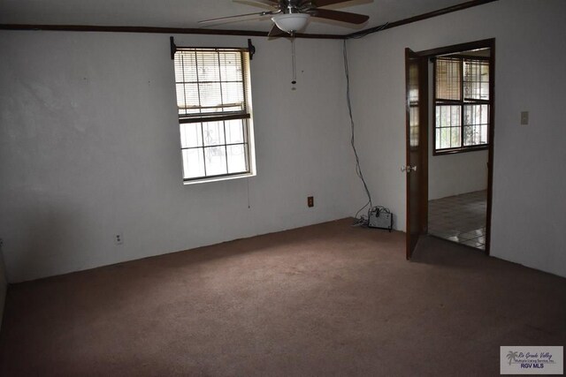 carpeted empty room with ornamental molding and ceiling fan