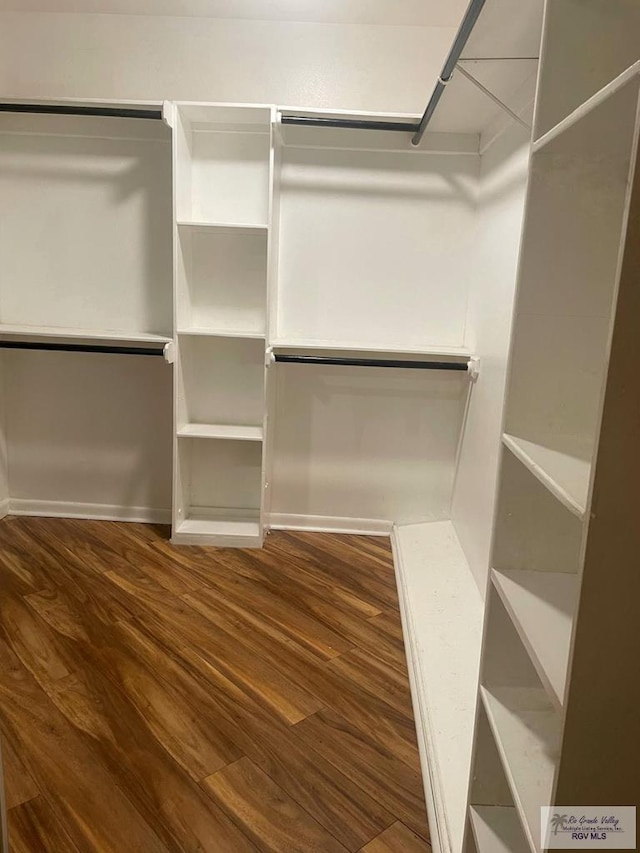 spacious closet featuring dark hardwood / wood-style flooring