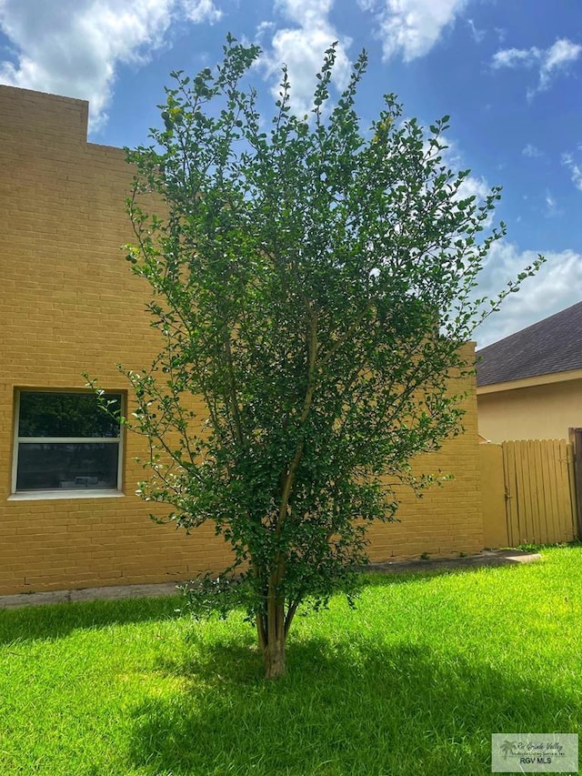 view of home's exterior featuring a lawn