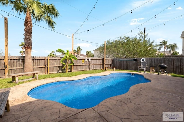 view of pool with a patio area