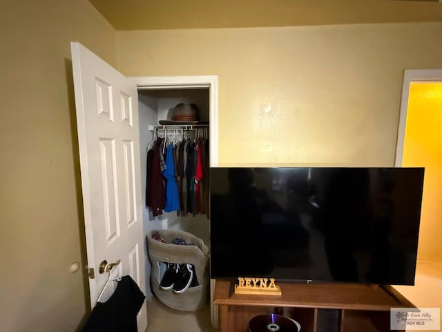 view of closet