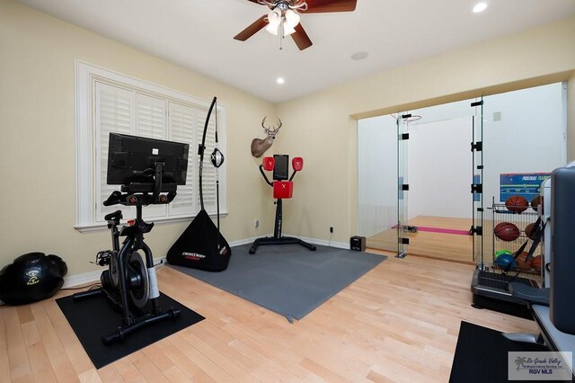 exercise area featuring hardwood / wood-style floors and ceiling fan