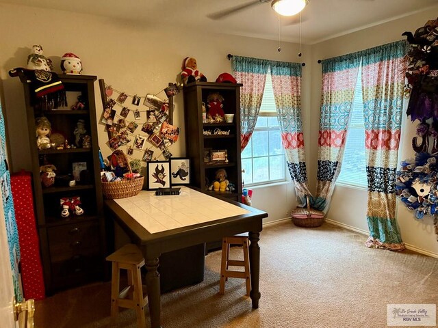 6075 Maravillas River St, Brownsville, TX 78526 - photo 20