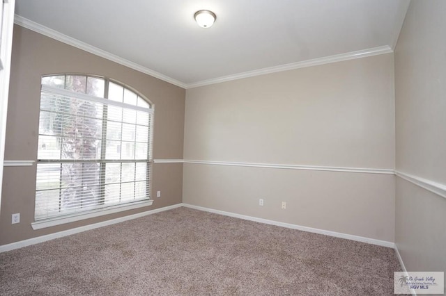 unfurnished room featuring carpet floors, crown molding, and a healthy amount of sunlight