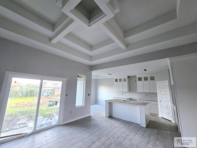 kitchen with white cabinetry and hardwood / wood-style flooring