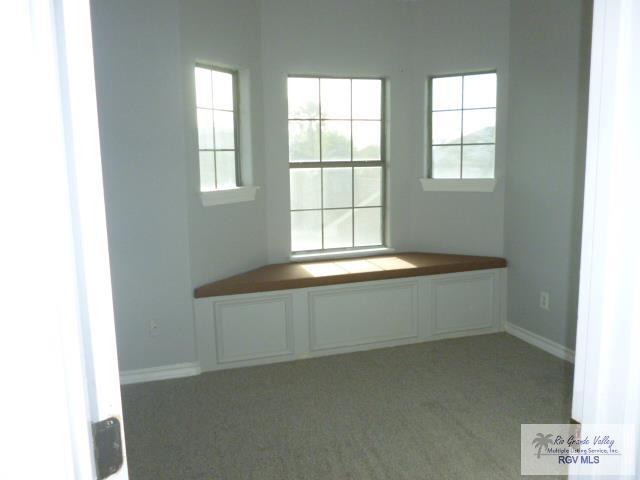 6724 Pino Verde Dr, Brownsville, TX 78526 - unfurnished room featuring carpet floors, a healthy amount of sunlight, and baseboards