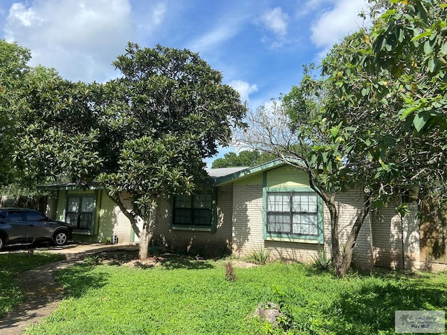 100 Pine St, Los Fresnos, TX 78566 - view of property hidden behind natural elements featuring brick siding and a front lawn