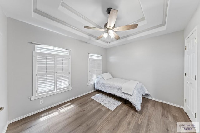 bedroom featuring a tray ceiling, ceiling fan, and wood-type flooring