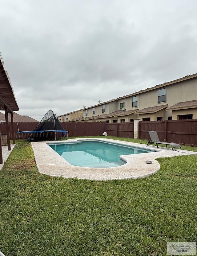 view of swimming pool featuring a lawn and a trampoline