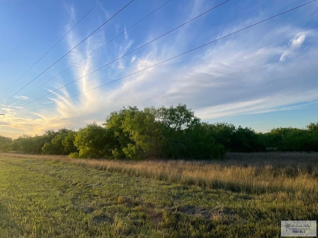 Listing photo 2 for 0 Fm 1732, Olmito TX 78520