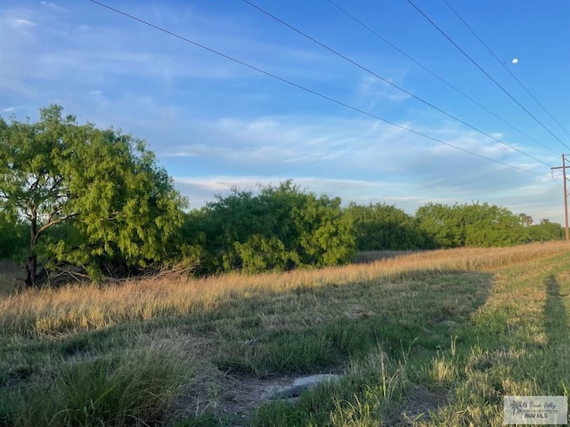 Listing photo 3 for 0 Fm 1732, Olmito TX 78520