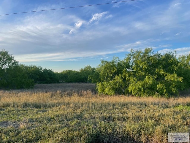 0 Fm 1732, Olmito TX, 78520 land for sale