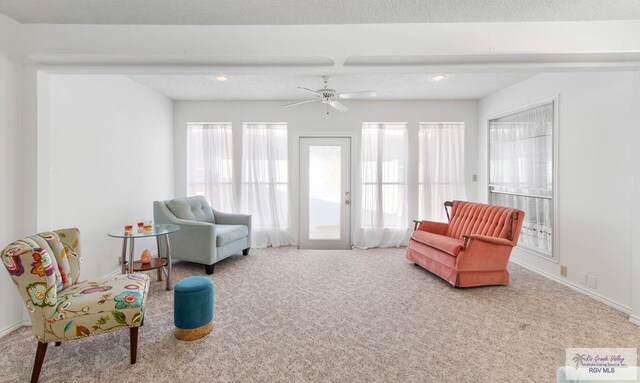 living area with ceiling fan, carpet floors, and a textured ceiling