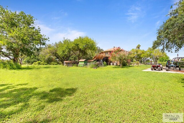 28880 Bass Blvd, Harlingen, TX 78552 - view of green lawn