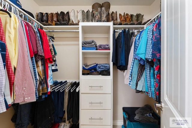 view of spacious closet