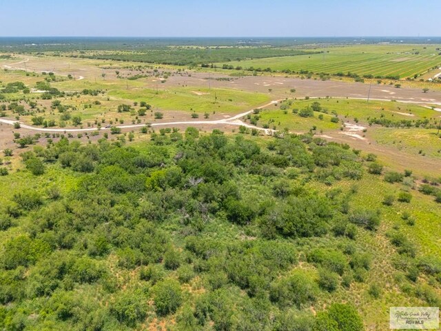 0 Lazy Palm Dr, Linn, TX 78541 - photo 25