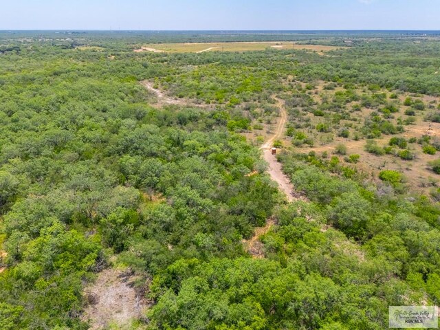 0 Lazy Palm Dr, Linn, TX 78541 - photo 19