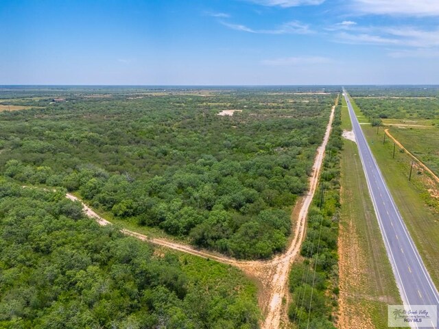 0 Lazy Palm Dr, Linn, TX 78541 - photo 20
